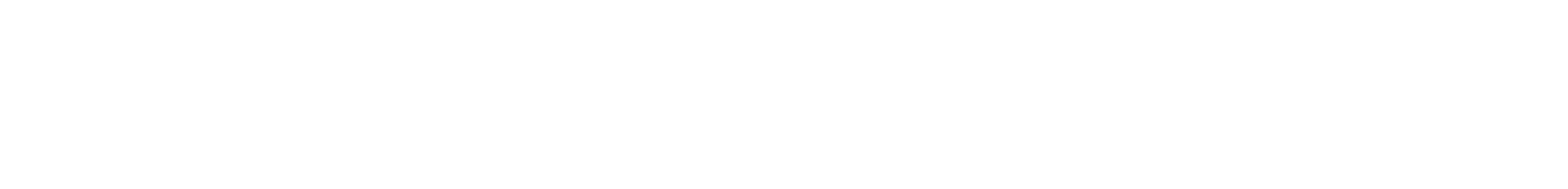 NexoraLab Logo